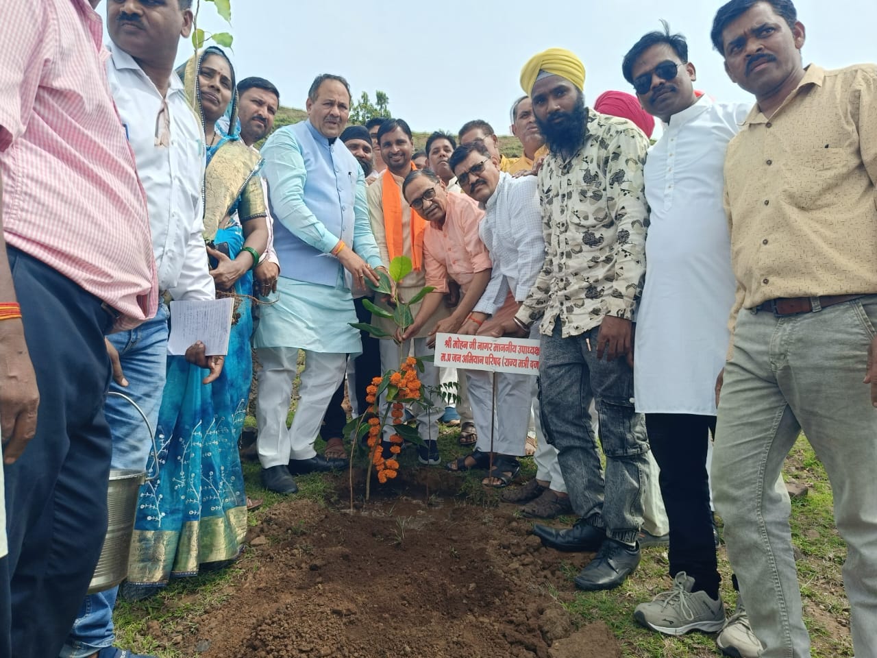 स्वैच्छिकता स्वालंबन हेतु एक पेड़ मां के नाम सिद्ध आदि शक्ती माता मंदिर पहाड़ी पर पिपल्याबावड़ी में वृहद वृक्षारोपण